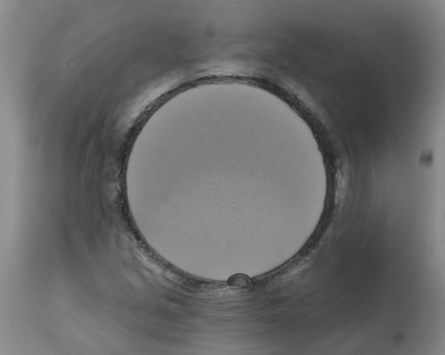 X0000112101213200909151151