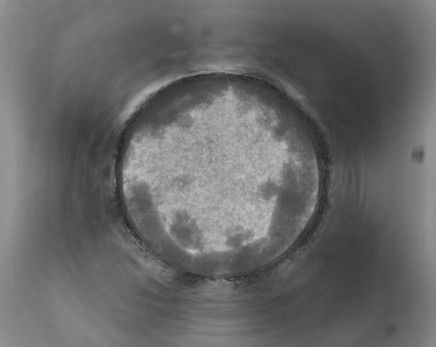 X0000112101214200909151151