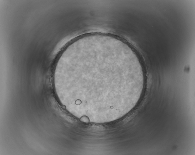 X0000112101215200909151151