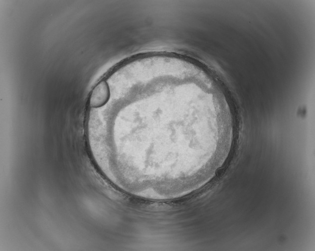 X0000112101216200909151151