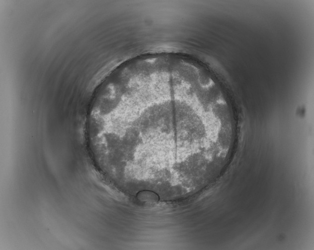 X0000112101217200909151152