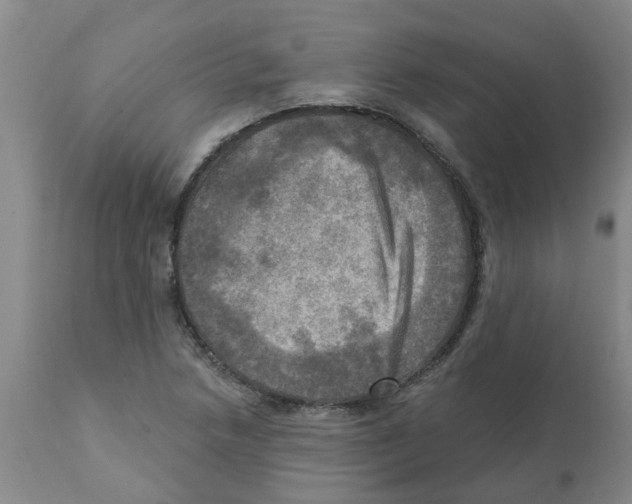 X0000112101218200909151152