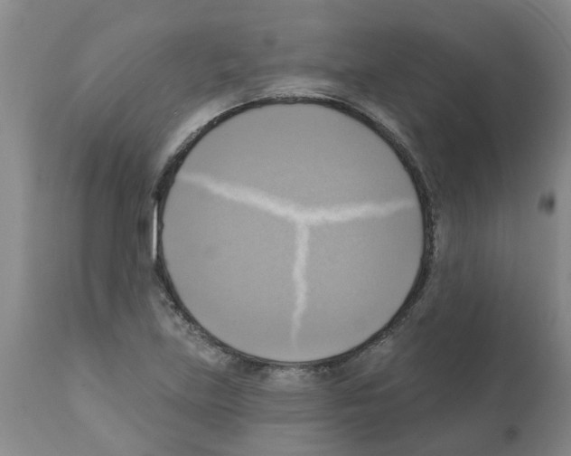 X0000112101219200909151152
