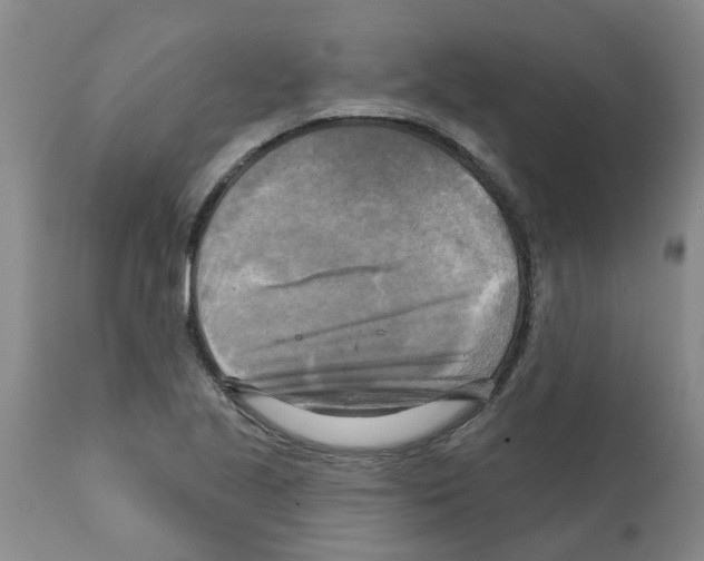X0000112101221200909151152