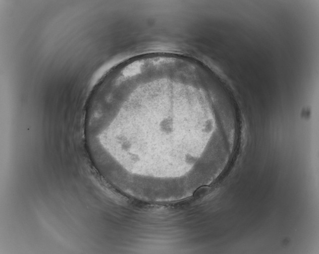 X0000112101222200909151152