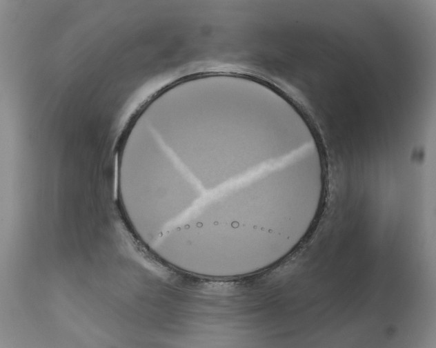 X0000112101223200909151152