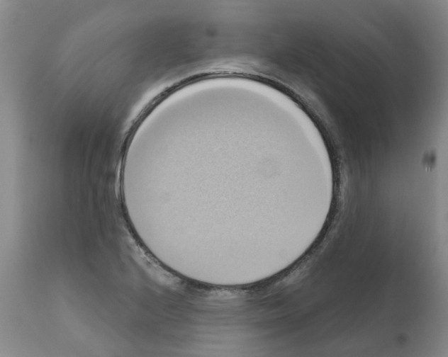 X0000112101224200909151152