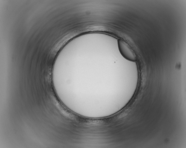 X0000112101225200909151152