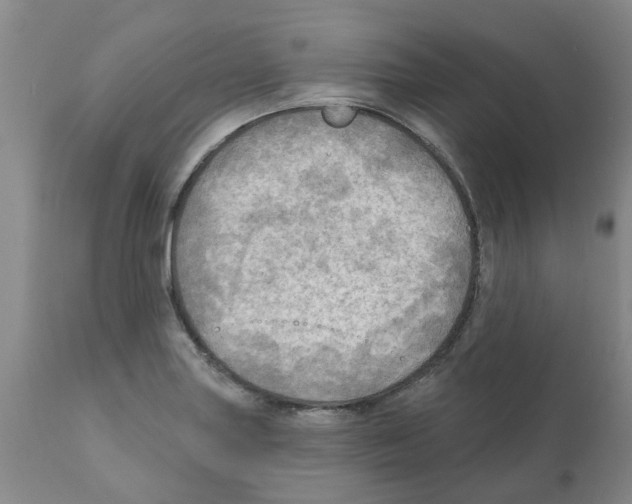 X0000112101227200909151152