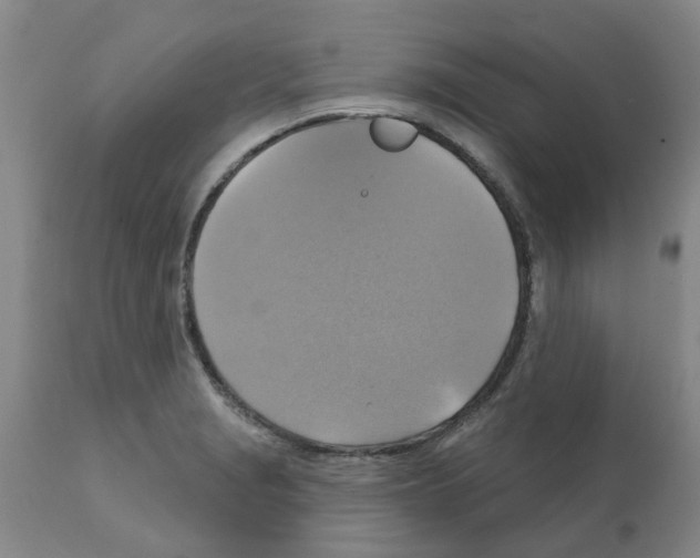 X0000112101229200909151152