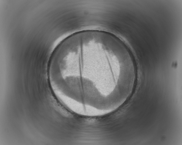 X0000112101230200909151152