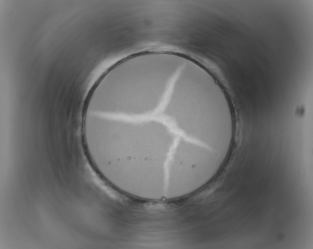 X0000112101231200909151152