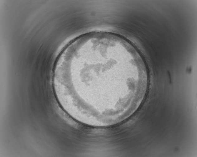 X0000112101232200909151152