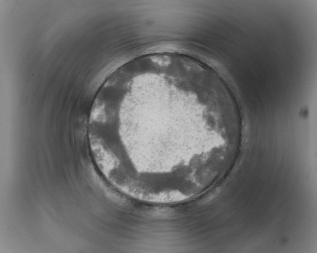 X0000112101233200909151152