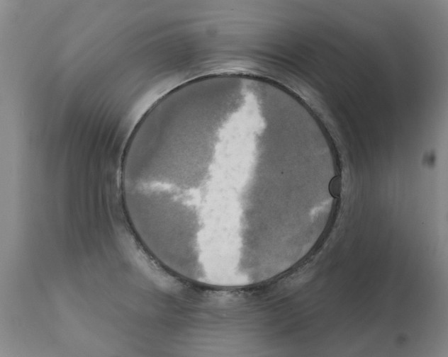 X0000112101234200909151152
