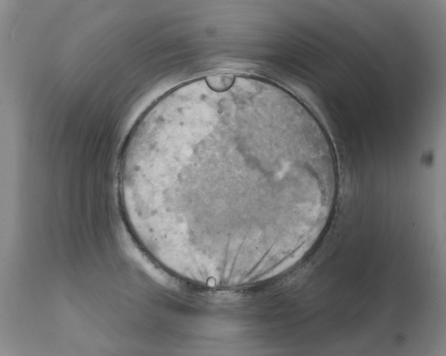 X0000112101235200909151152