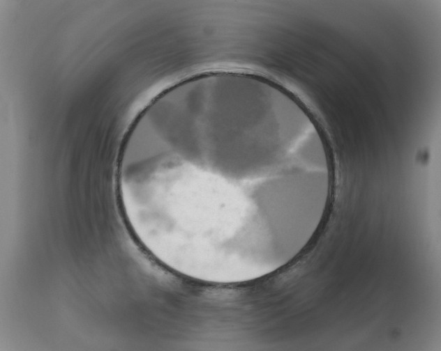 X0000112101237200909151152