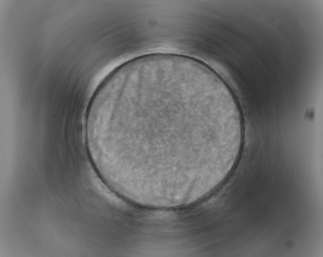 X0000112101238200909151152