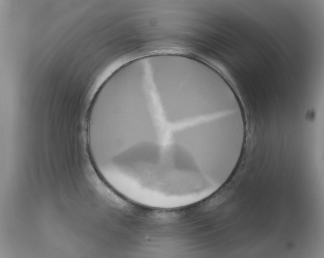 X0000112101243200909151152