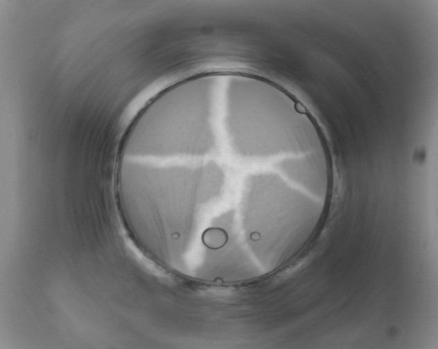 X0000112101245200909151152