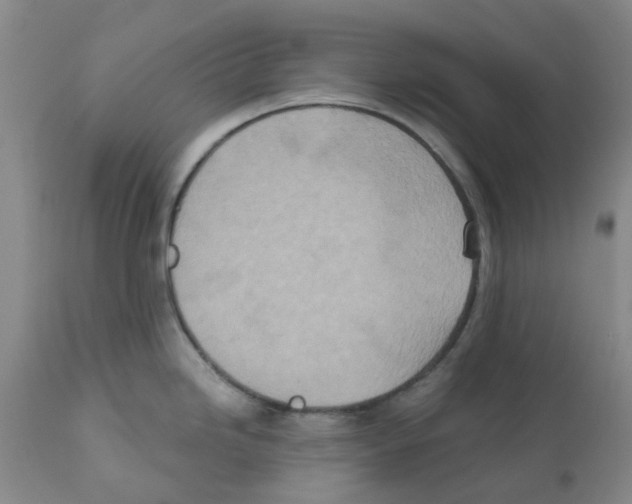X0000112101246200909151152