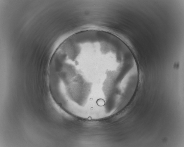X0000112101247200909151152