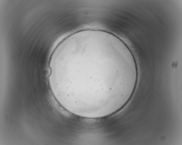 X0000112101248200909151152