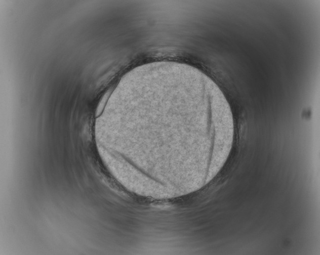 X0000112101250200909151151