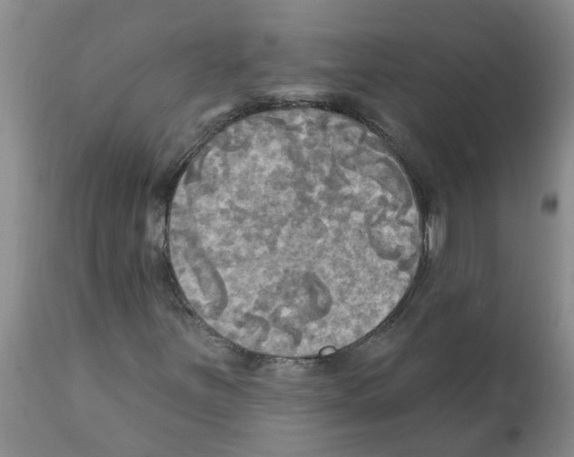 X0000112101251200909151151
