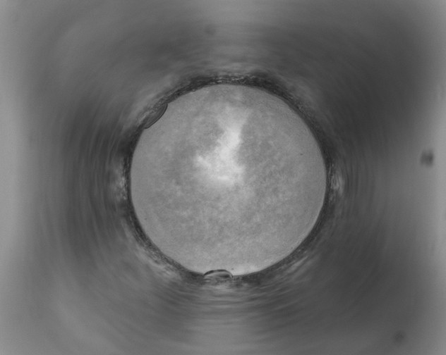 X0000112101252200909151151