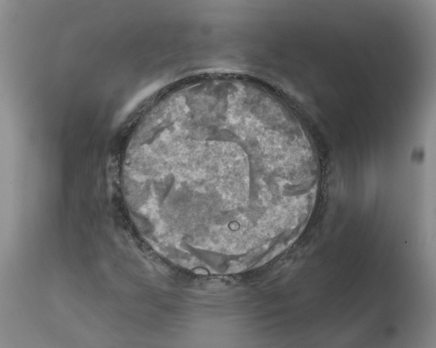 X0000112101255200909151151