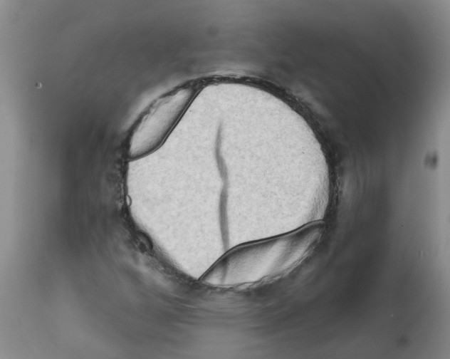 X0000112101256200909151151