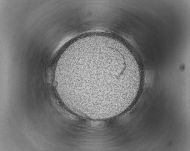 X0000112101258200909151151