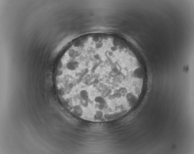 X0000112101259200909151151