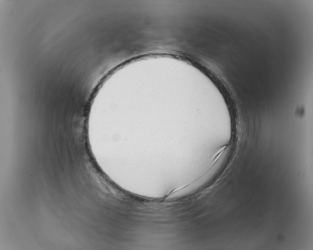 X0000112101260200909151151