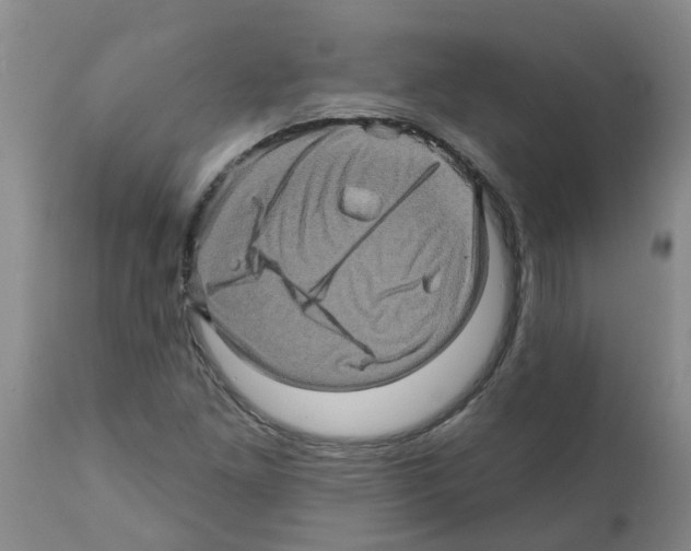 X0000112101261200909151151