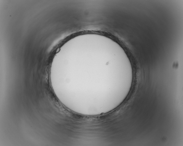 X0000112101262200909151151