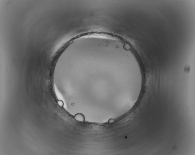 X0000112101263200909151151