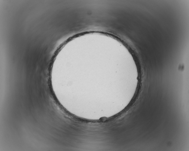 X0000112101264200909151151