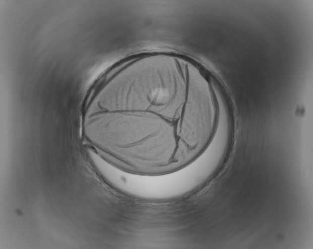 X0000112101269200909151151