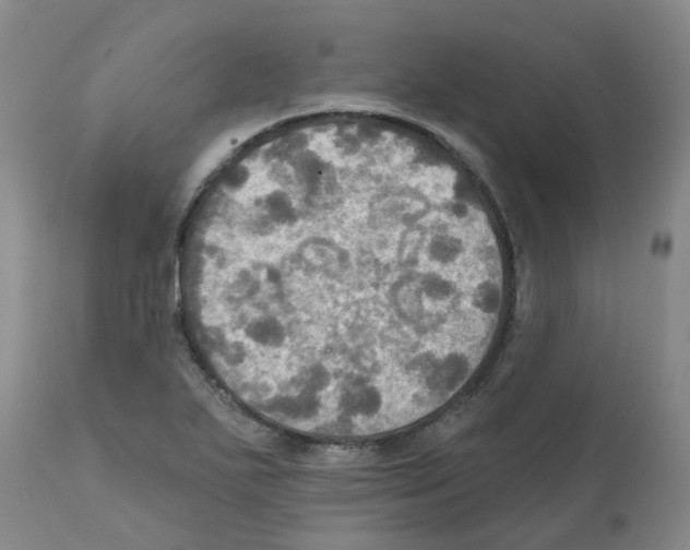 X0000112101271200909151151