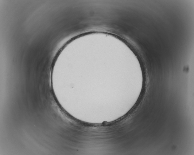 X0000112101272200909151151