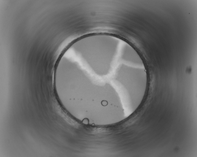X0000112101275200909151151