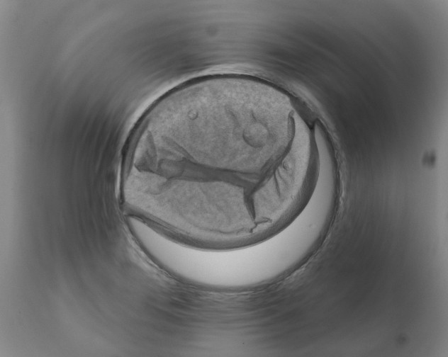 X0000112101276200909151151