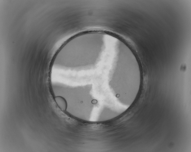 X0000112101279200909151151