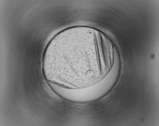 X0000112101280200909151151