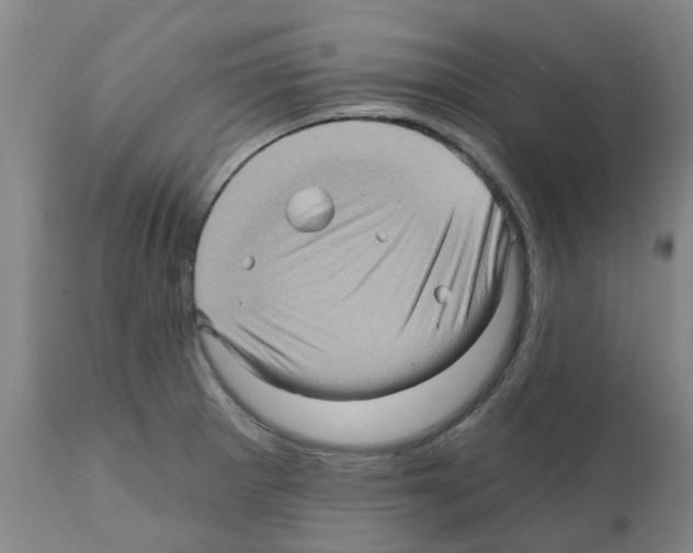 X0000112101281200909151151