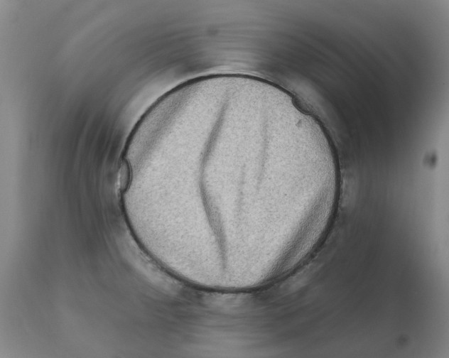 X0000112101284200909151151