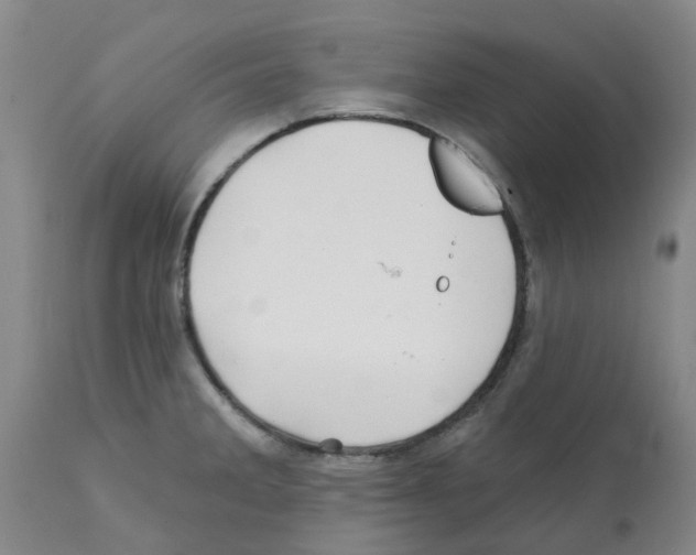 X0000112101285200909151151