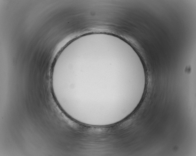 X0000112101286200909151151